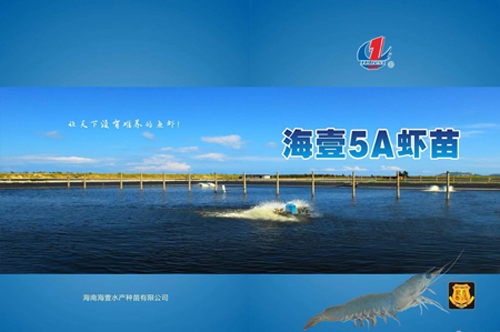 1641882050897815.jpg 海南海壹5A企業