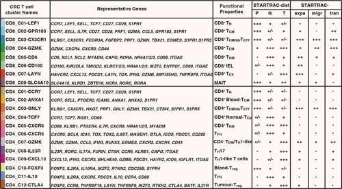 開發基于單細胞TCR的生物信息追蹤方法 揭示結直腸癌T細胞動態變化